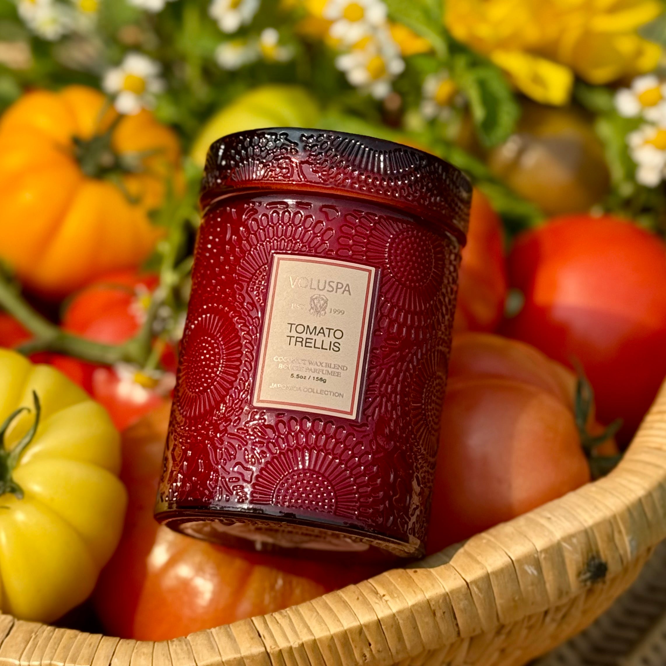 TOMATO TRELLIS Small Jar Candle