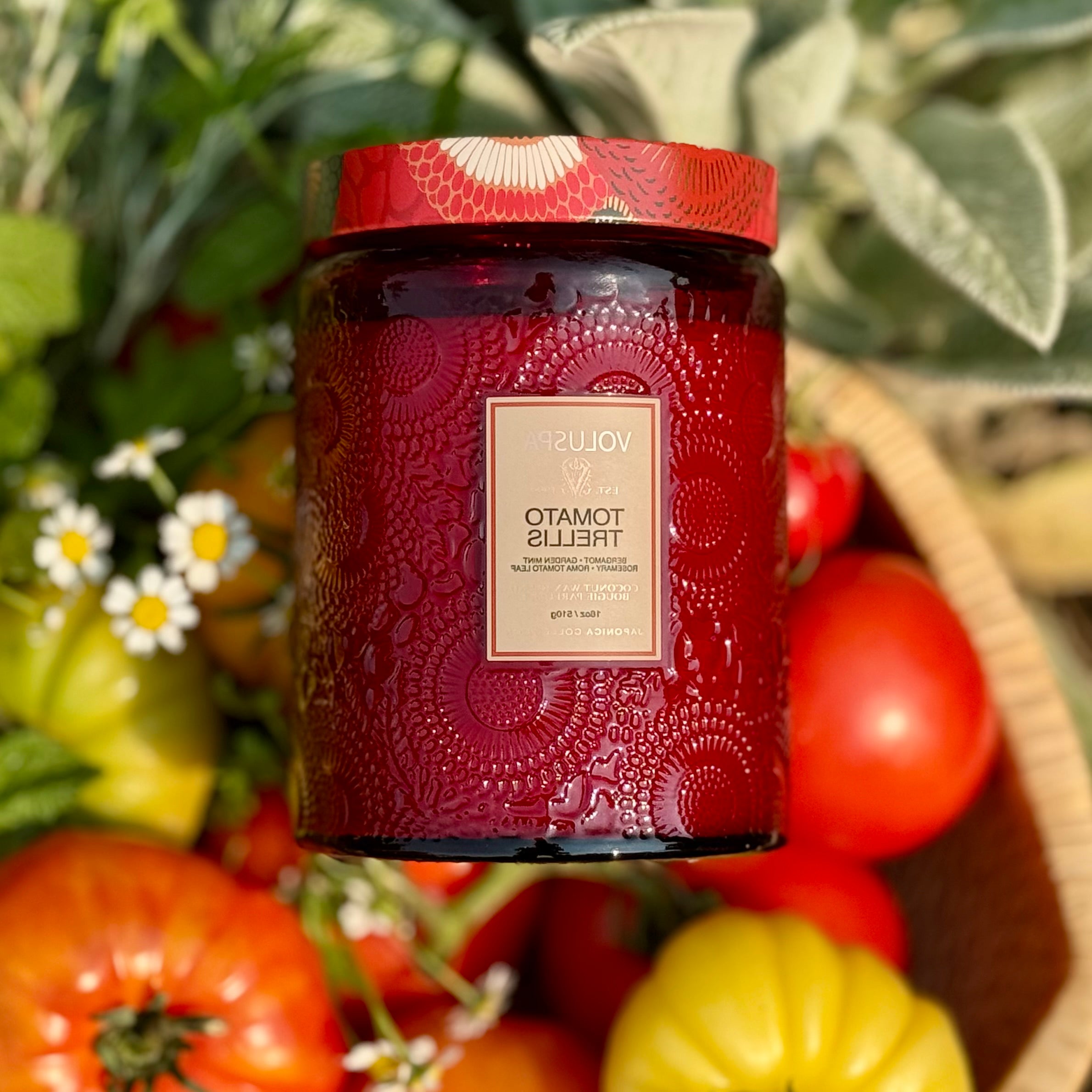 TOMATO TRELLIS Large Jar Candle