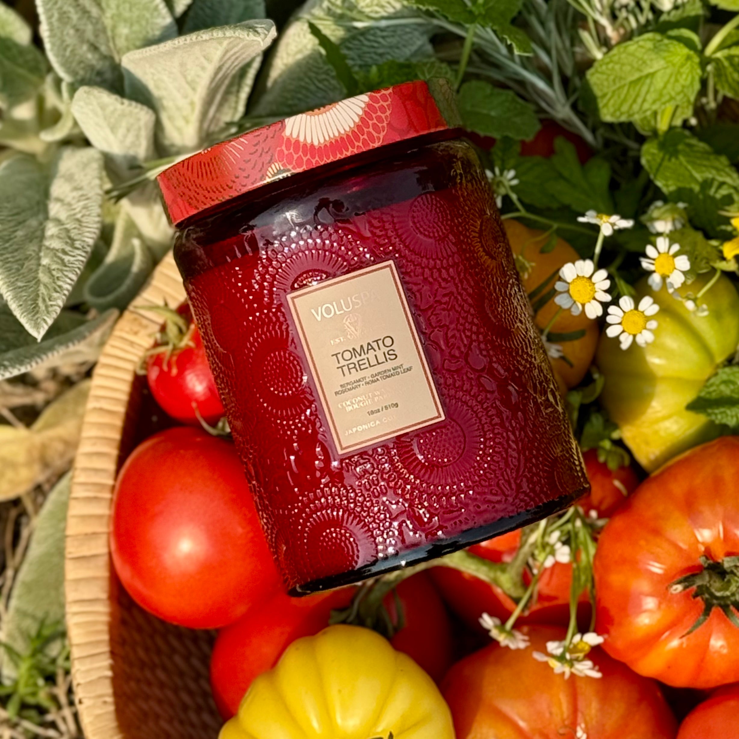 TOMATO TRELLIS Large Jar Candle