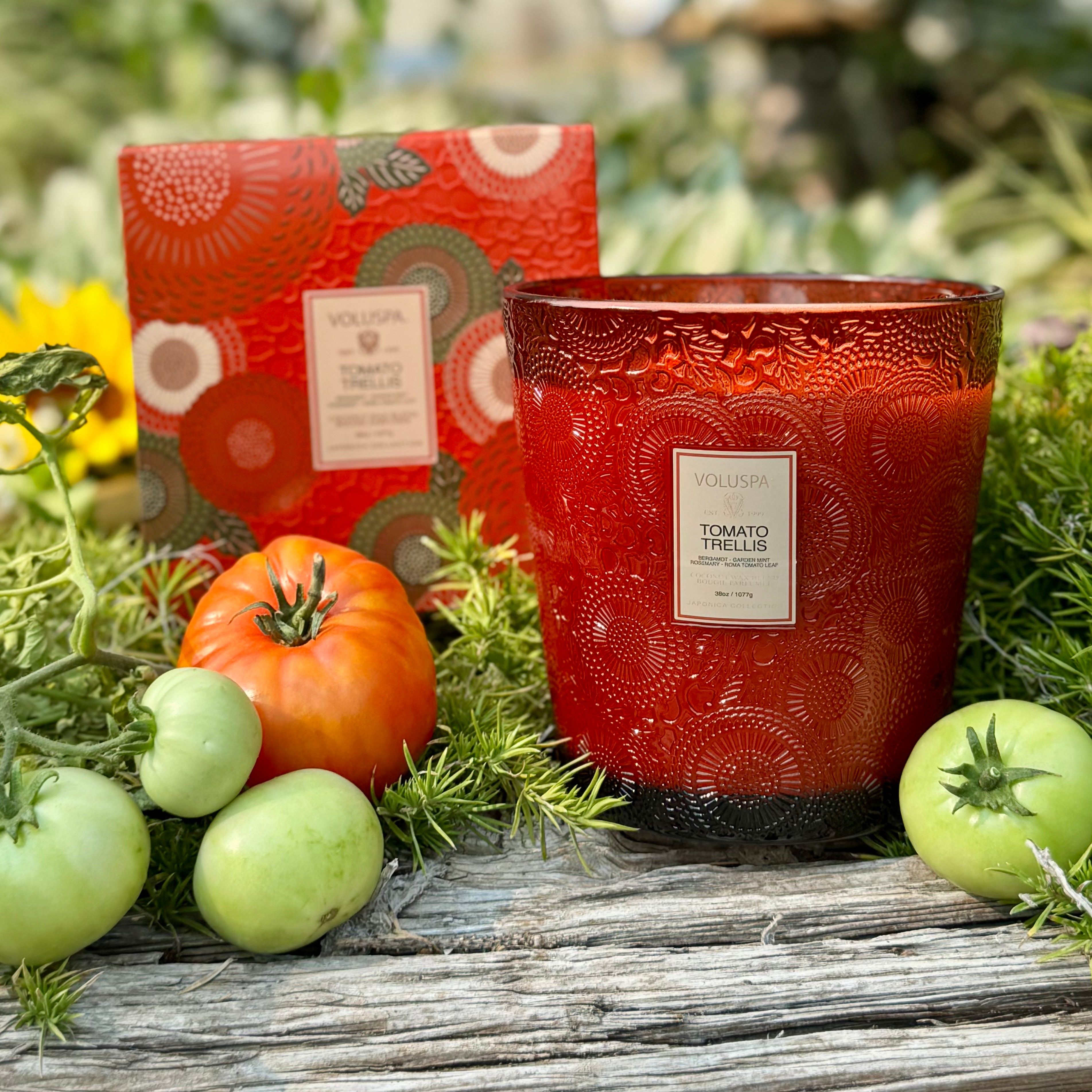 TOMATO TRELLIS 3 Wick Hearth Candle