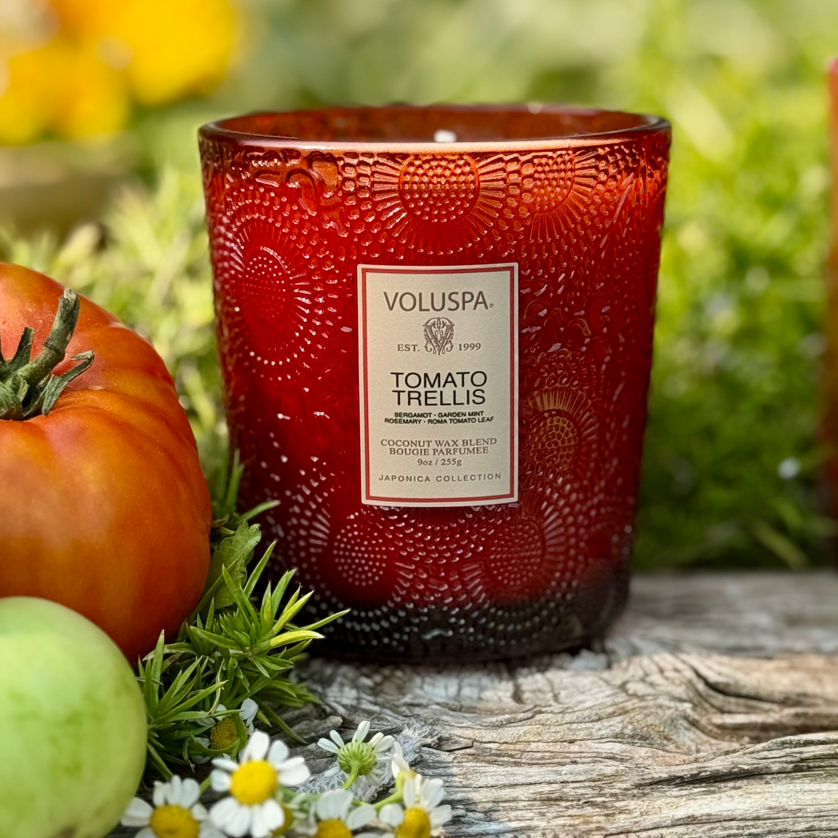TOMATO TRELLIS Classic Candle