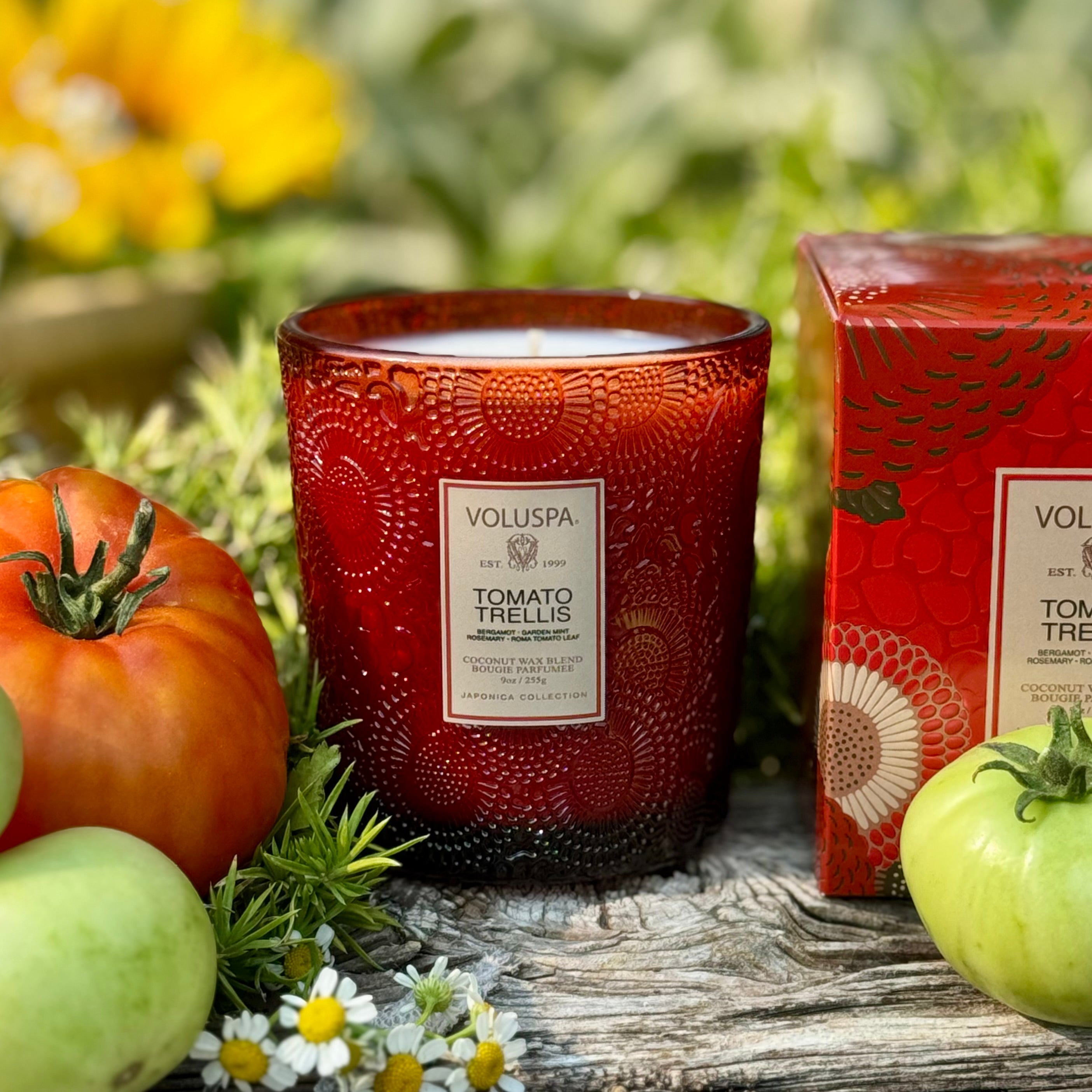 TOMATO TRELLIS Classic Candle