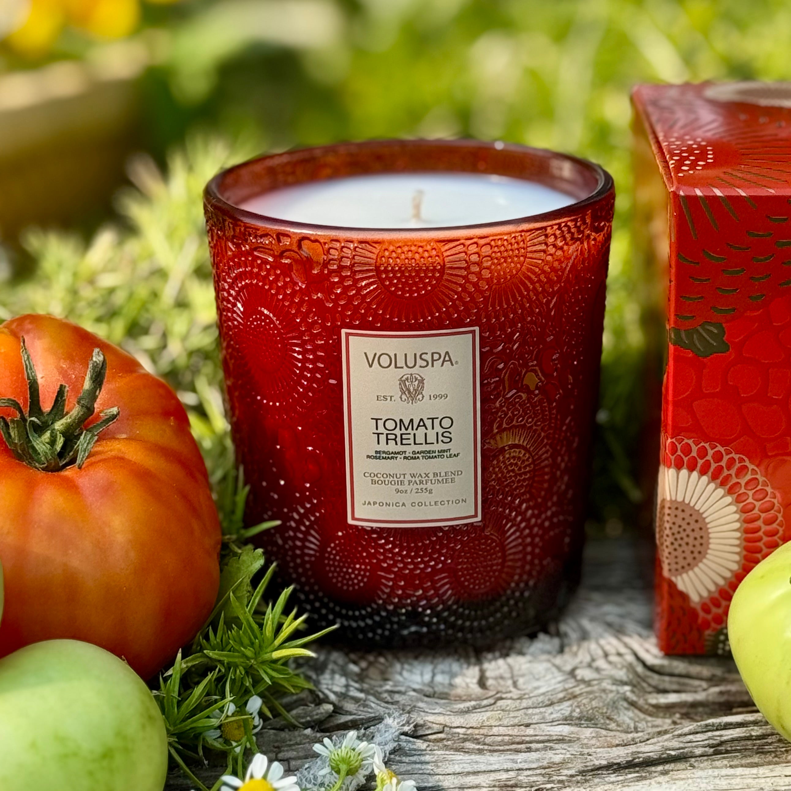 TOMATO TRELLIS Classic Candle