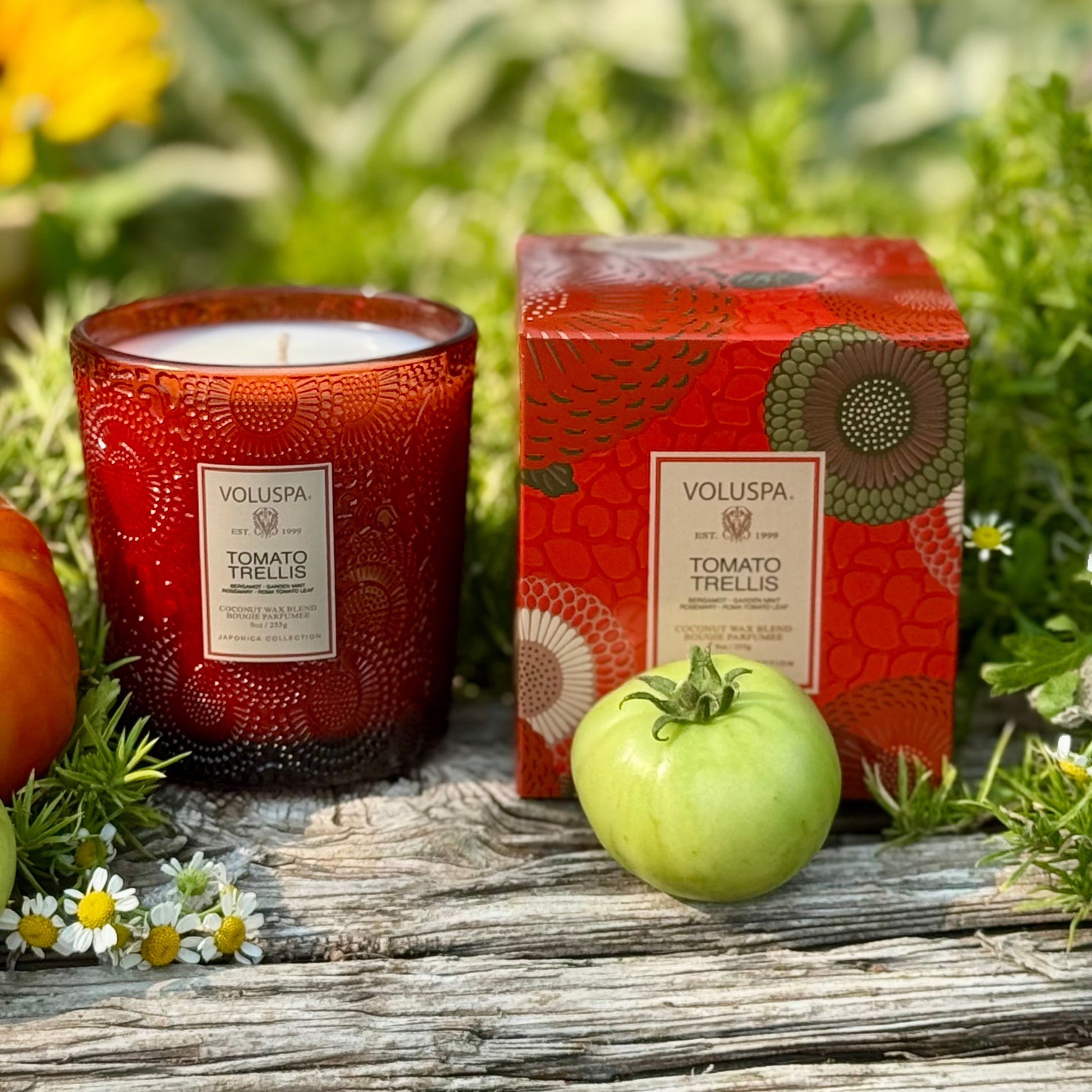 TOMATO TRELLIS Classic Candle