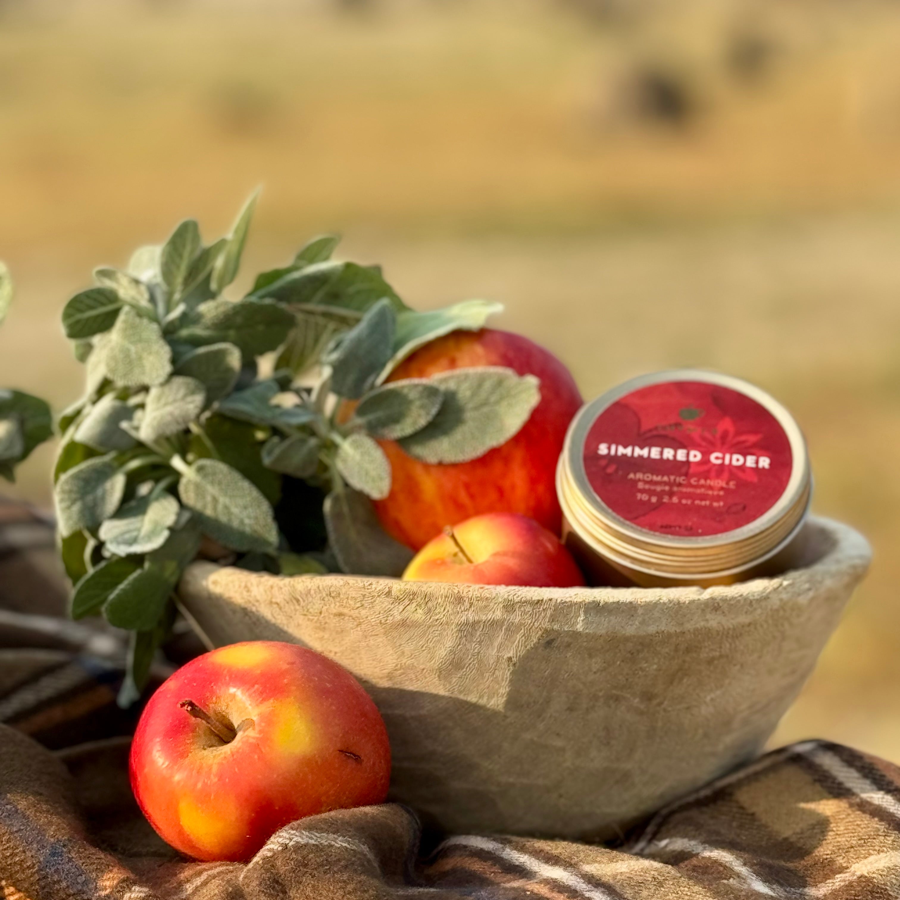 Simmered Cider Travel Tin Candle