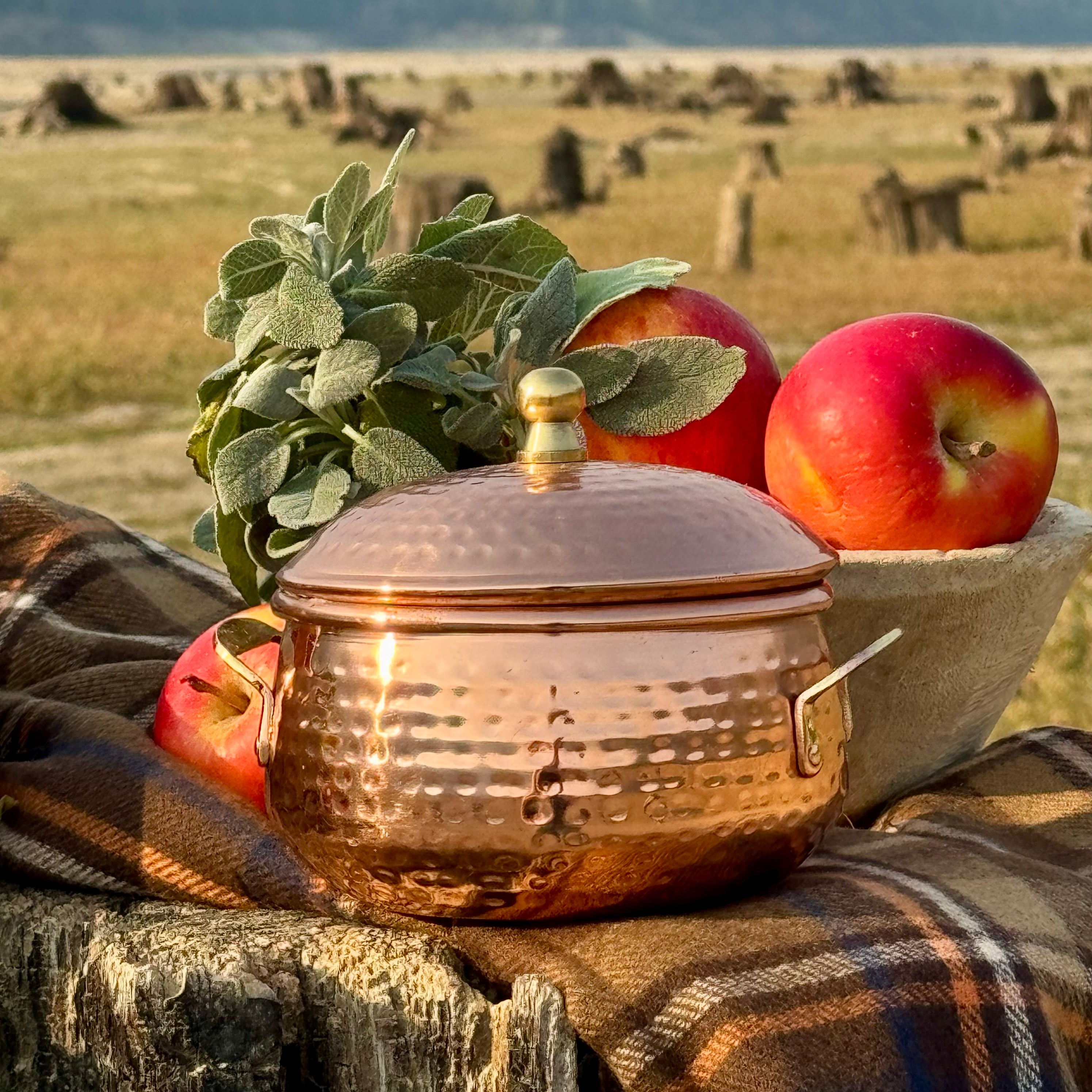 Simmered Cider Copper Pot 3-Wick Candle