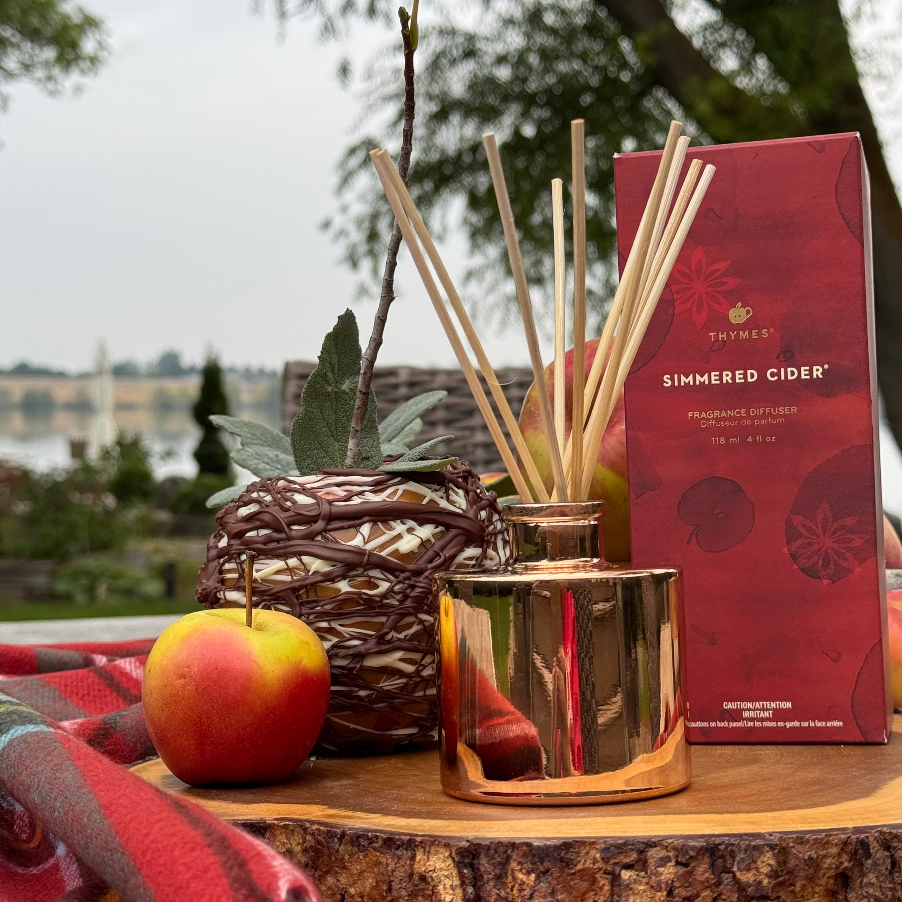 Simmered Cider Petite Reed Diffuser