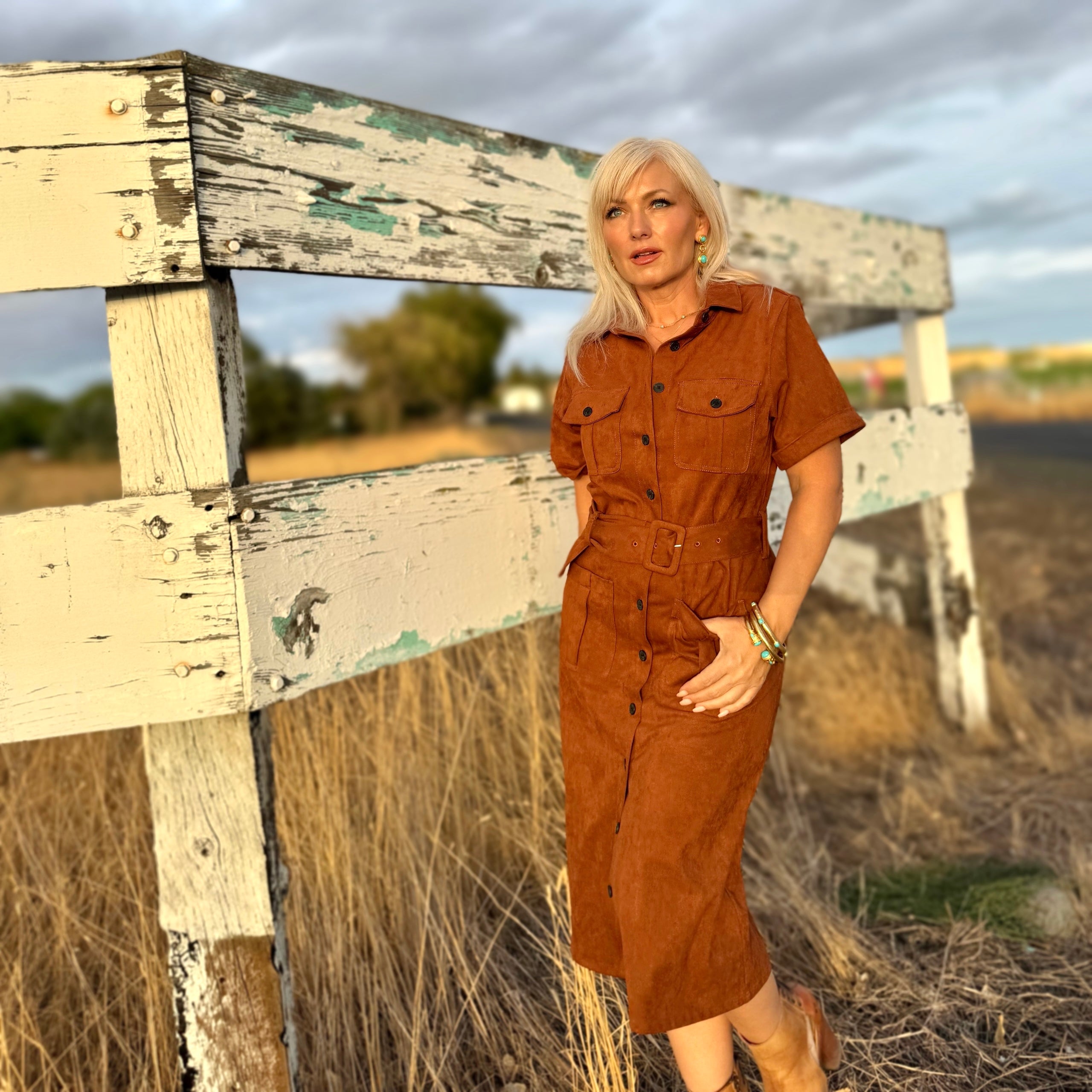 Raquel Faux Suede dress