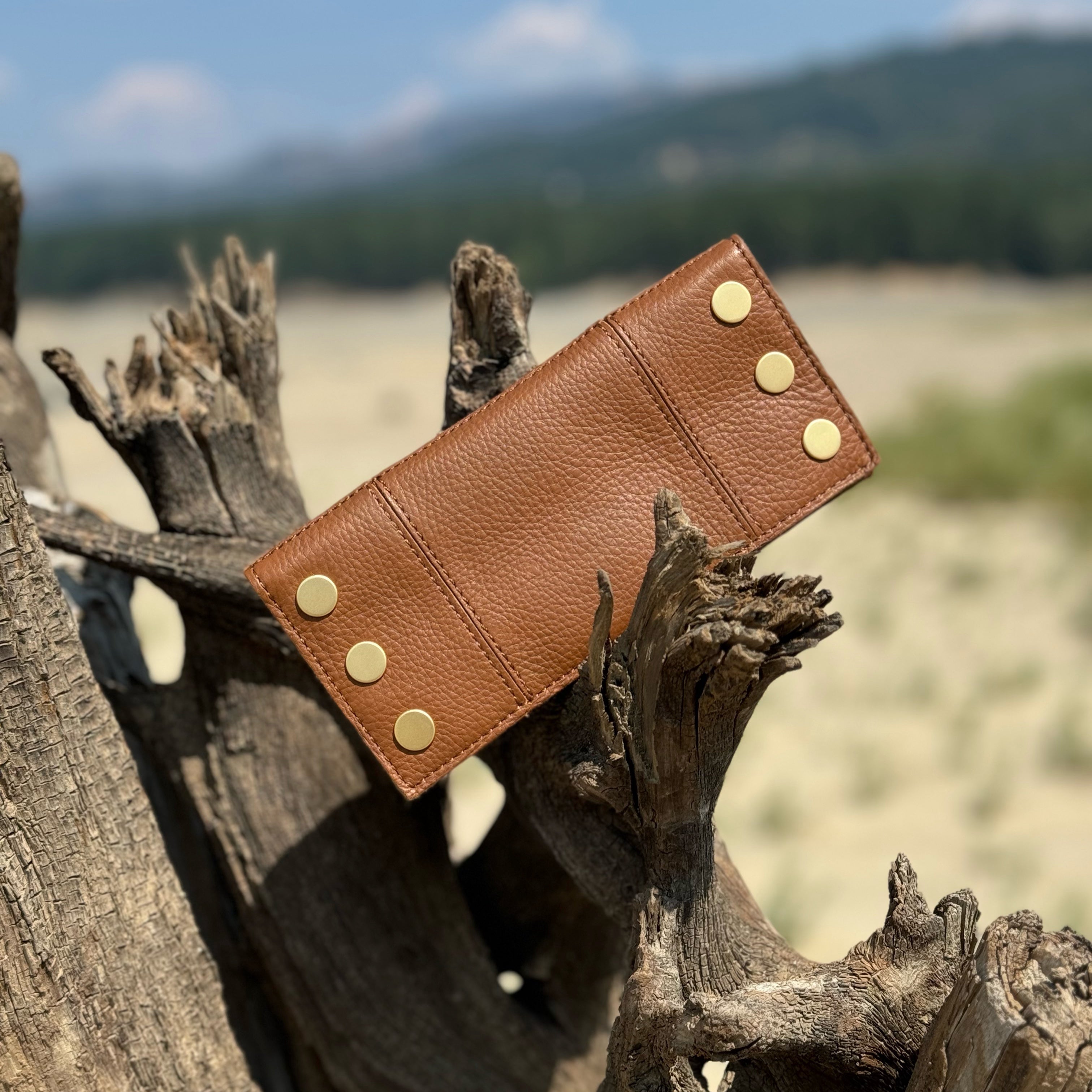 Hammitt 110 North Wallet Mahogany