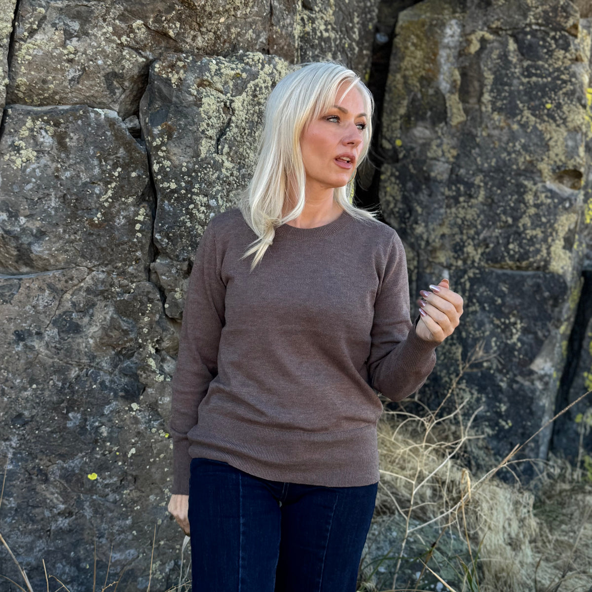 The Everyday Wool Blend Crewneck — Moc