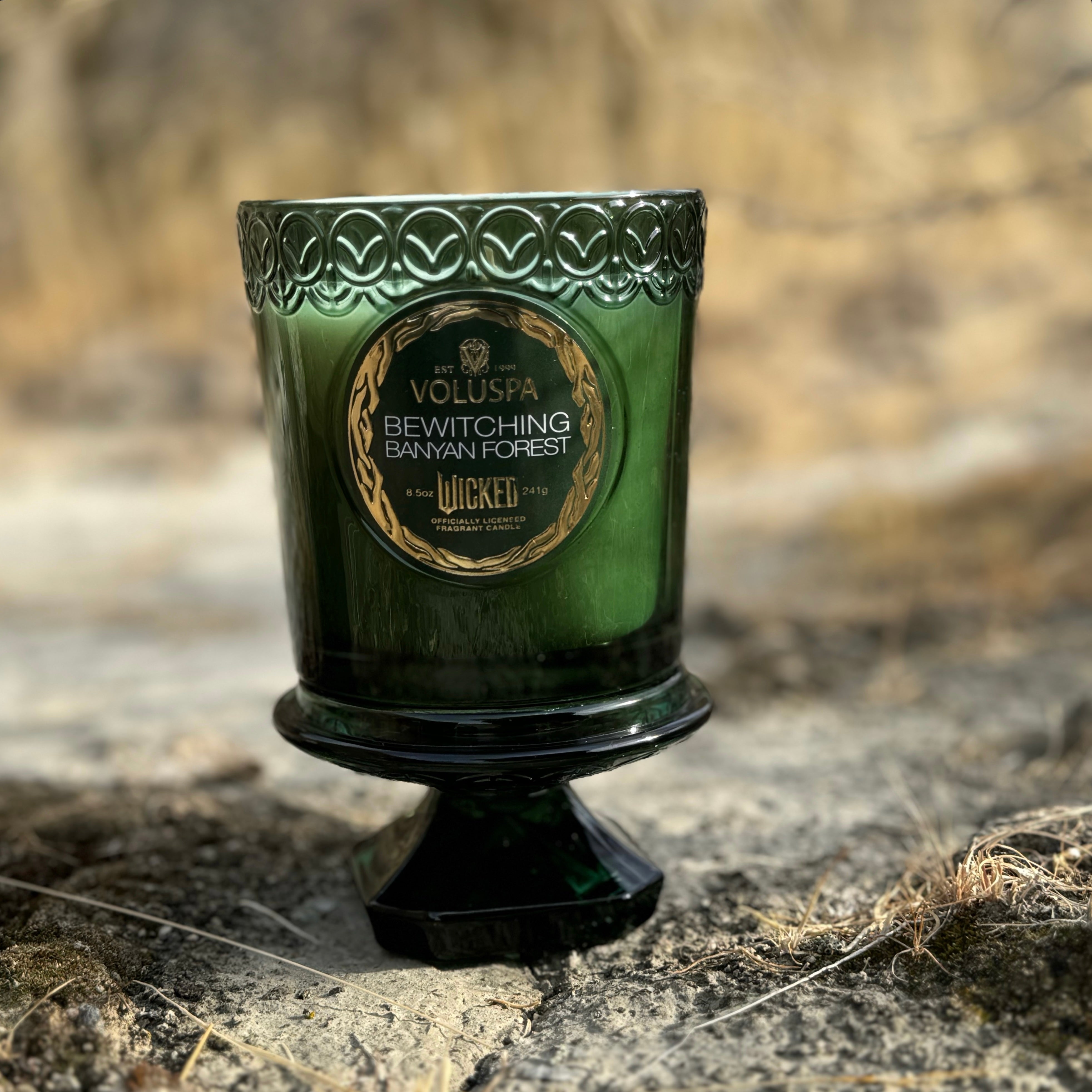 Wicked BEWITCHING BANYAN FOREST Boxed Candle