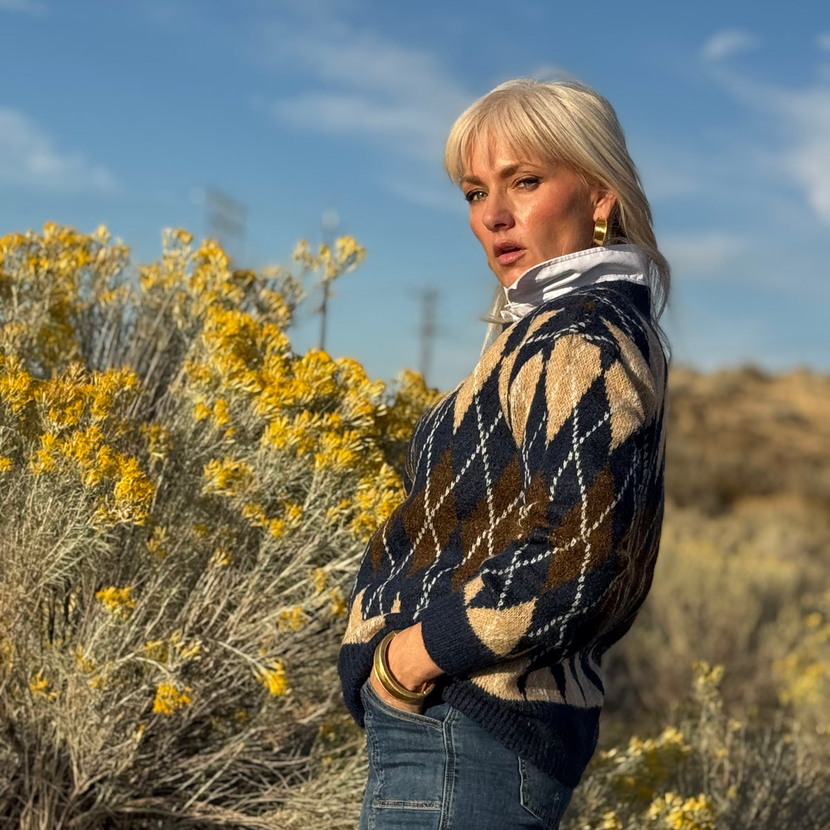 High Desert Argyle Sweater