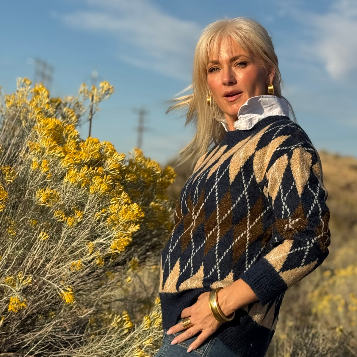 High Desert Argyle Sweater