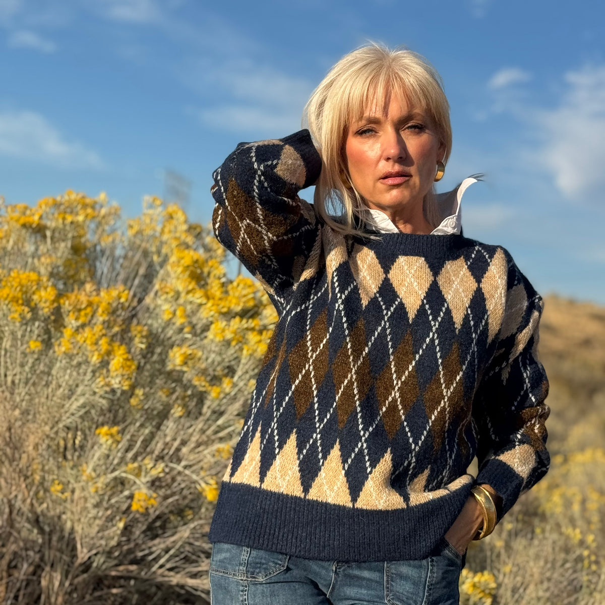 High Desert Argyle Sweater