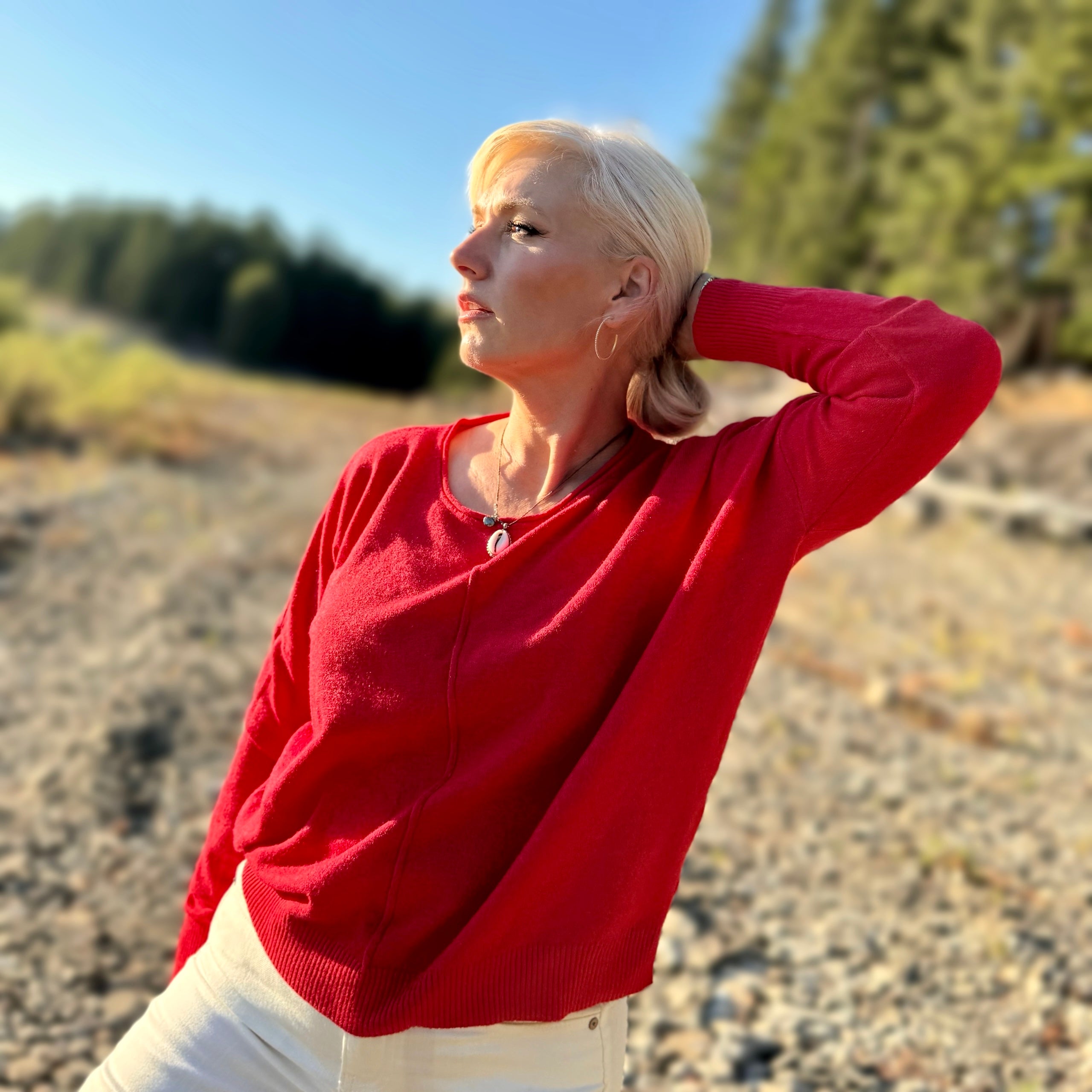 Simple Truth Front Seam Sweater Red