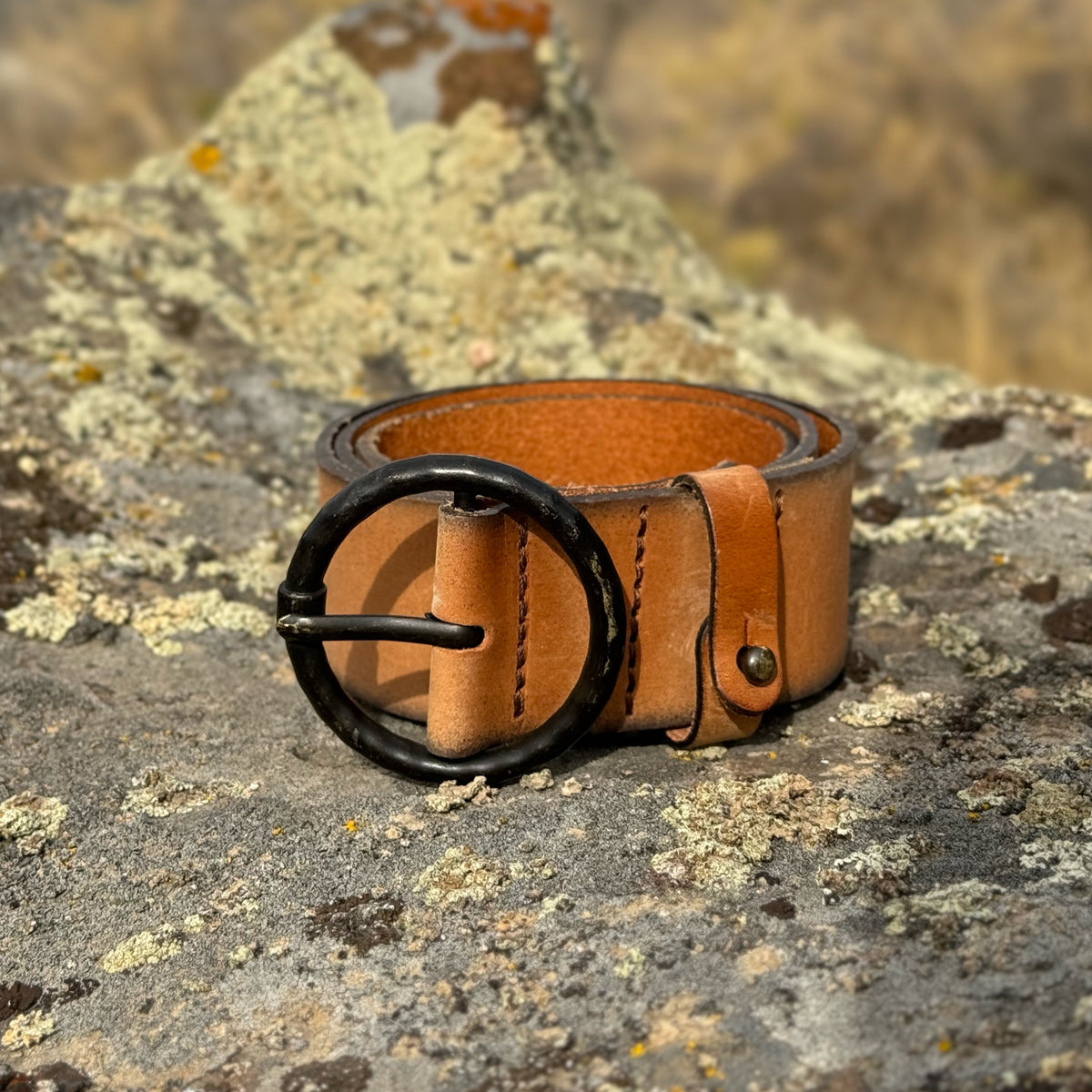 Frame Denim Le Circle Leather Belt in Cognac Levi main image 2