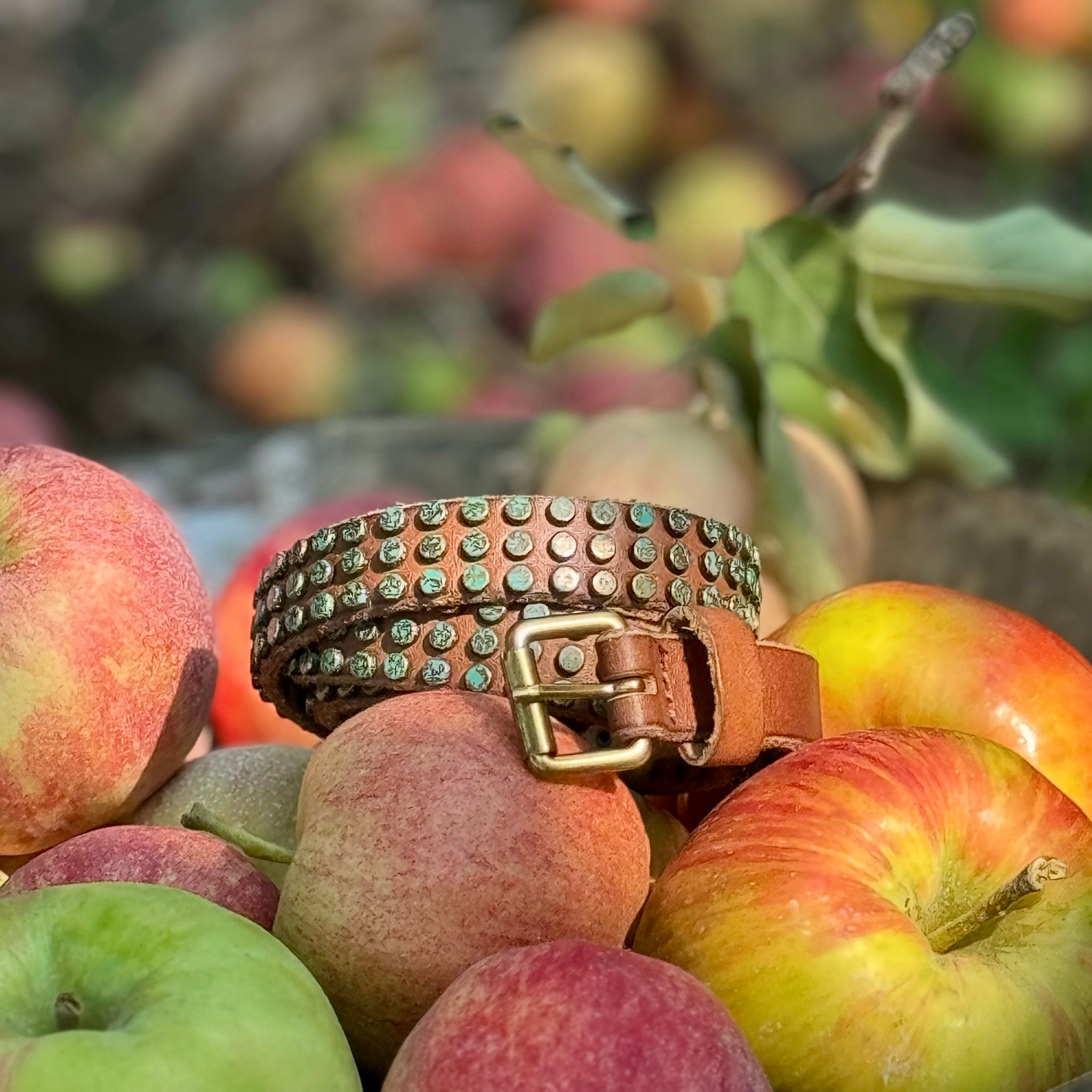 Azra | Leather Belt With Turquoise Patina Studs