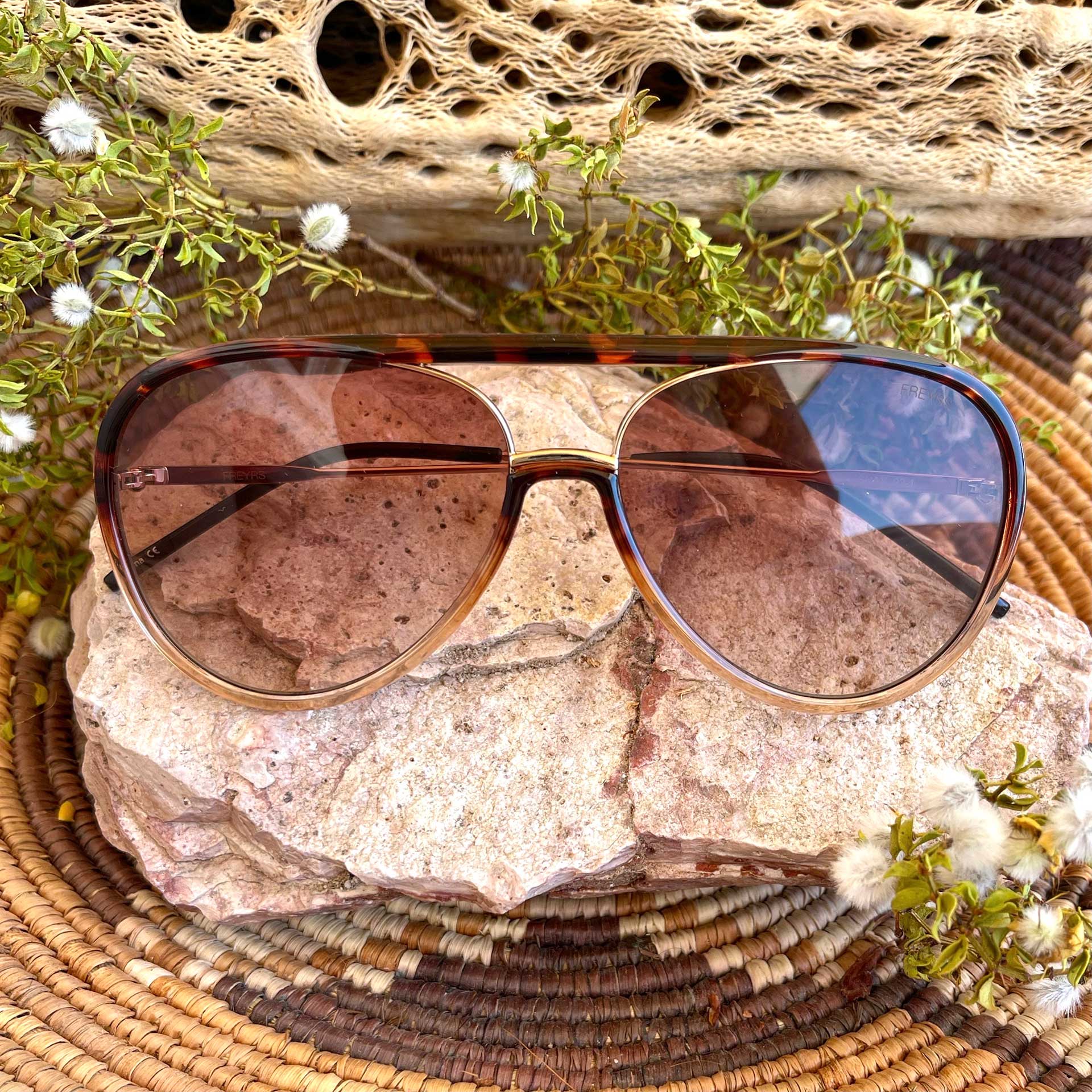 Shaylin Tortoise Sunglasses