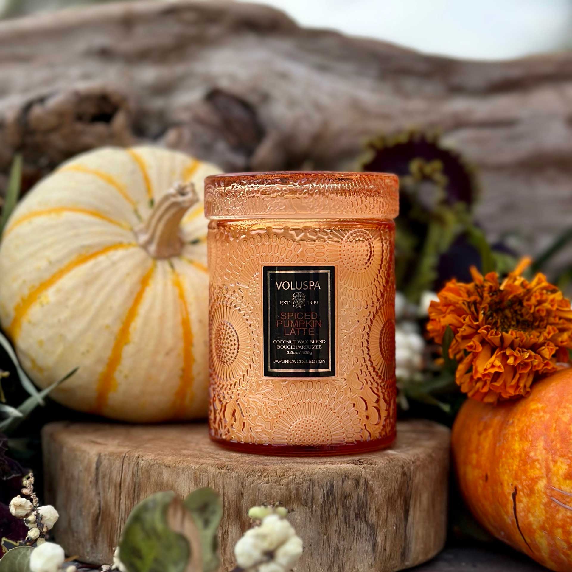 Voluspa Pumpkin Latte Small Glass Candle